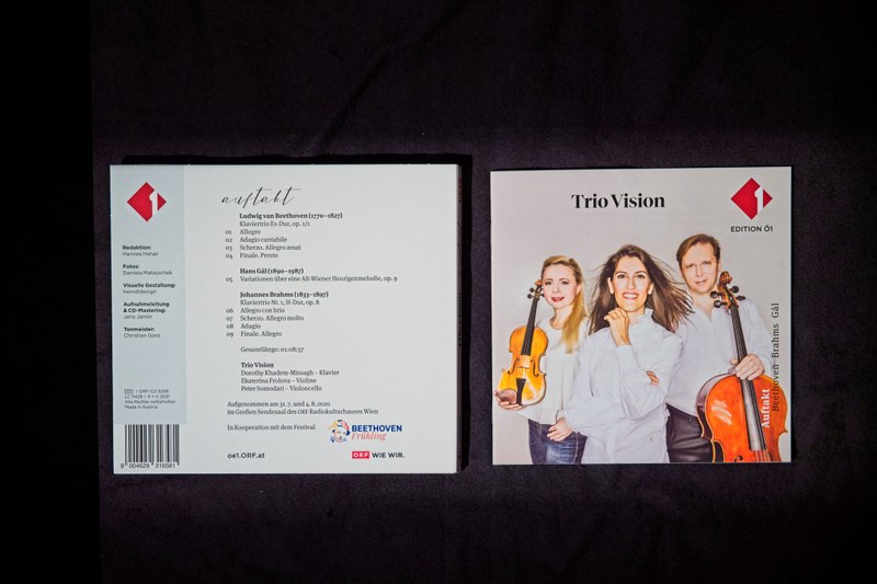 Trio Vision – Bild 4