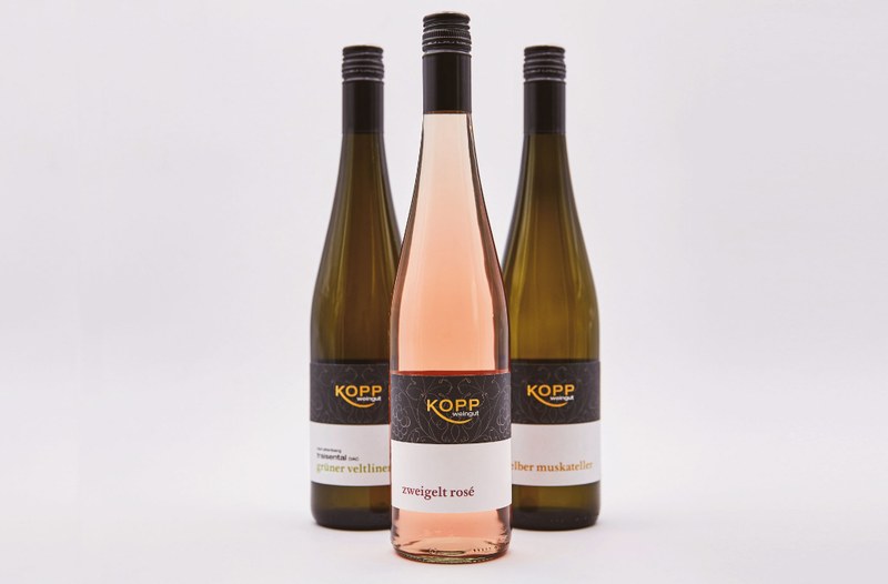 Weingut Kopp – Bild 6