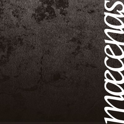 Maecenas 2021 · Anerkennungspreis